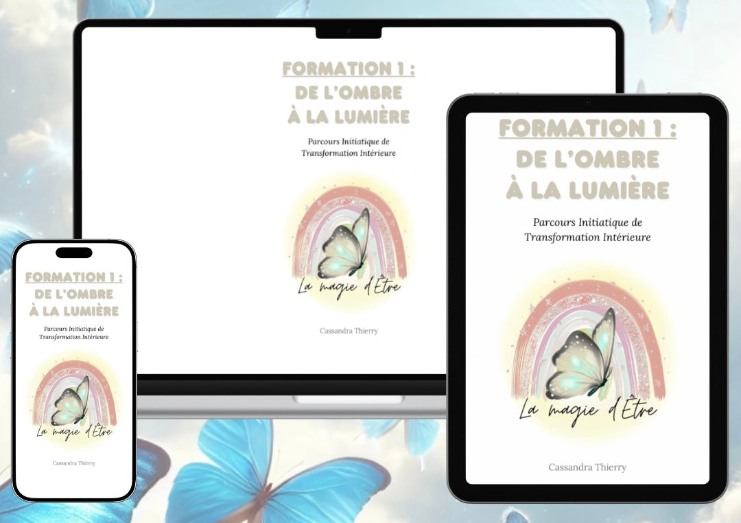FORMATION NIVEAU 1 : DE L’OMBRE À LA LUMIÈRE ✨ 📚 Format PDF Téléchargeable